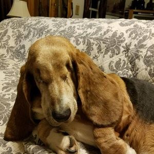 Meet your Posher, Kellie